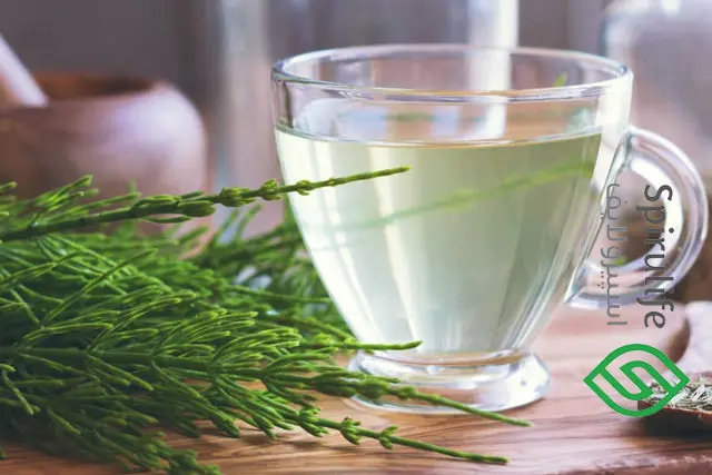 عصاره گیاه دم اسب برای تقویت رشد ناخن